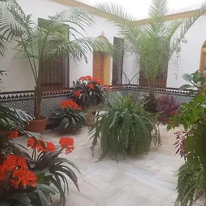 Apartment Casa Tipica Cordobesa Cordoba